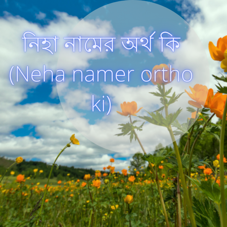 নিহা নামের অর্থ কি (Neha namer ortho ki)