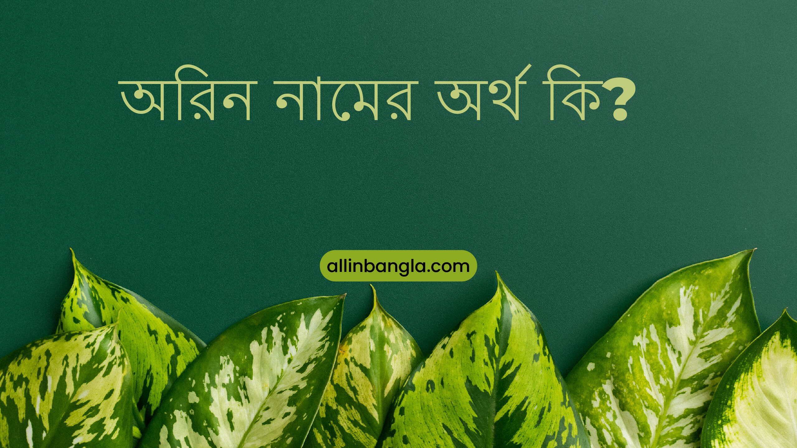 অরিন নামের অর্থ কি? orin namer ortho ki